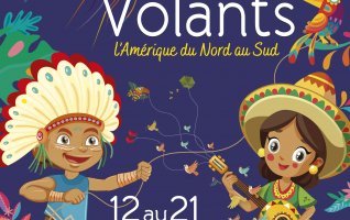 Rencontres Internationales de Cerfs-Volants 2025