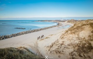 Espace Equestre Henson - La Molière Berck