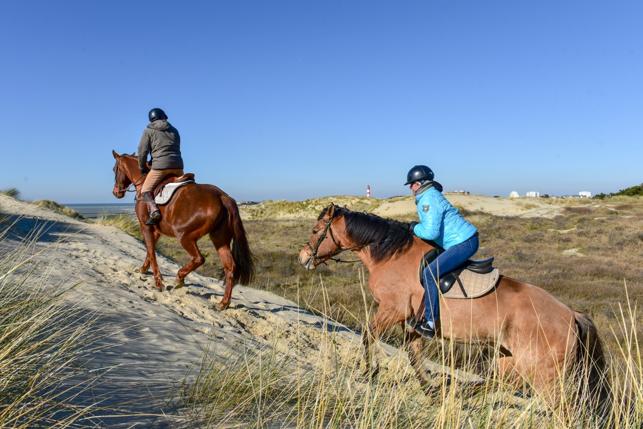 EQUITATION